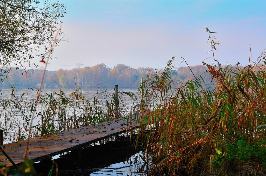 Herbst an der Havel