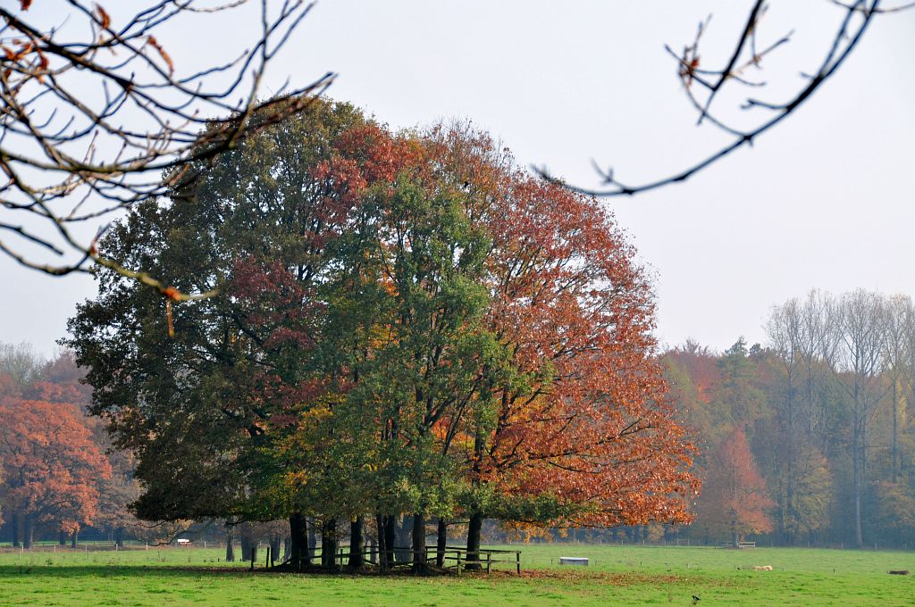Herbst bei Schloss Nordkirchen