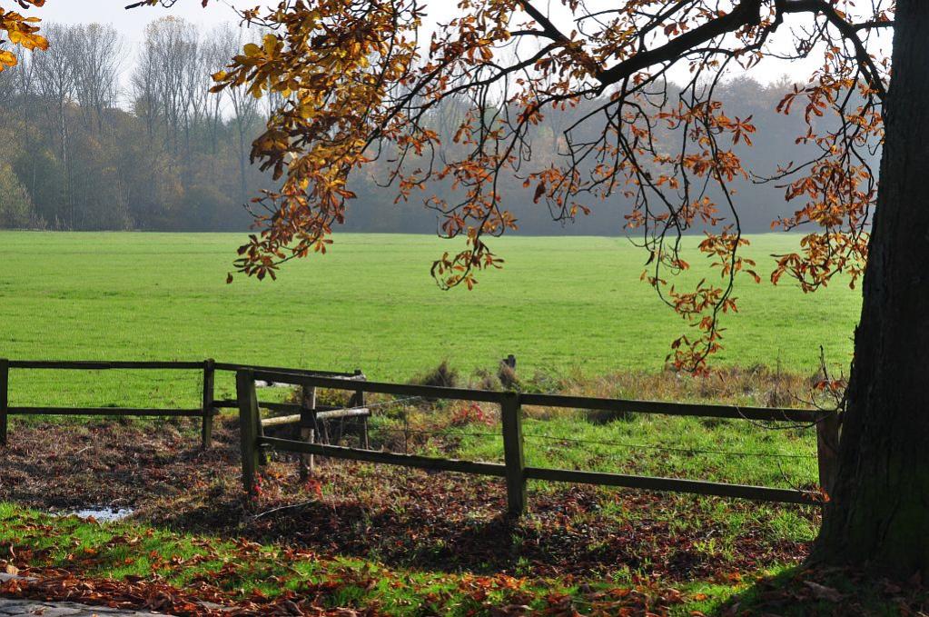 Herbst bei Schloss Nordkirchen