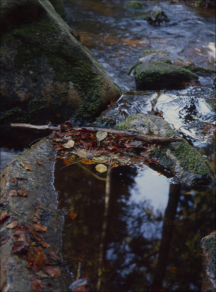 Herbst hat viele Ebenen