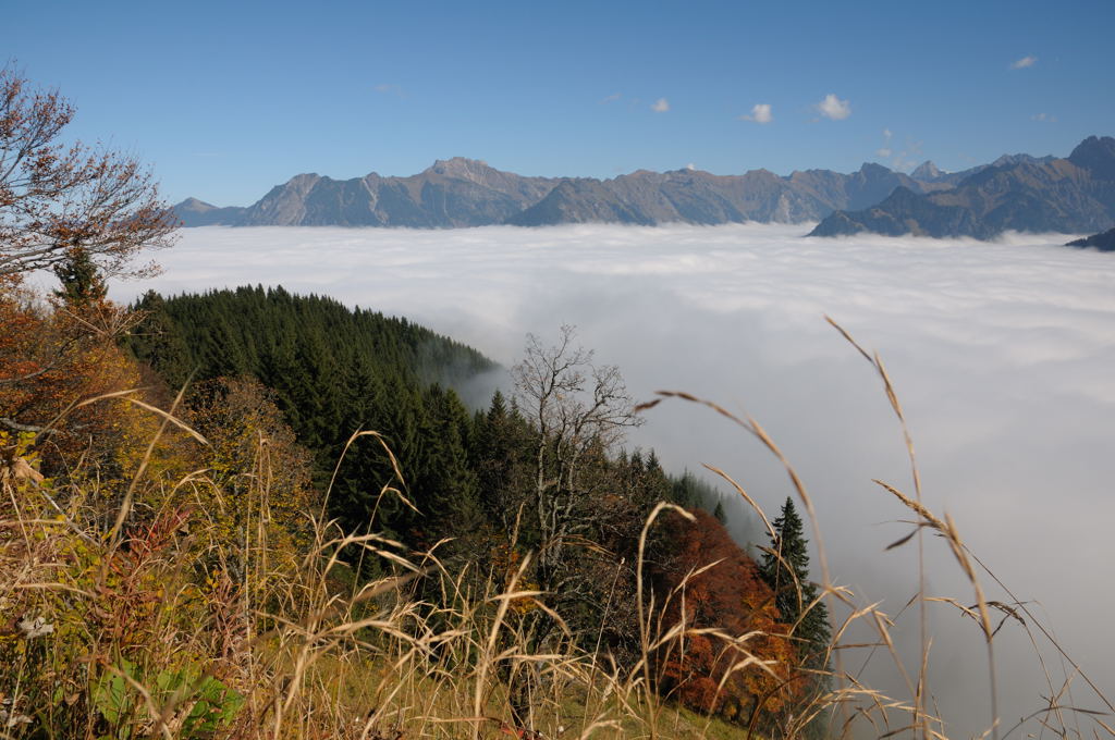 Herbst im Gebirge