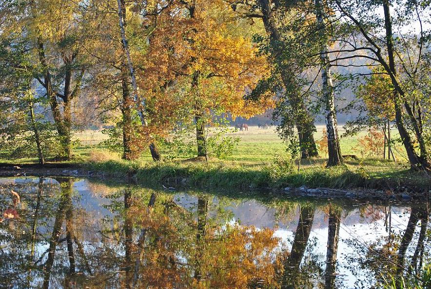 Herbst im Grünfelder Park