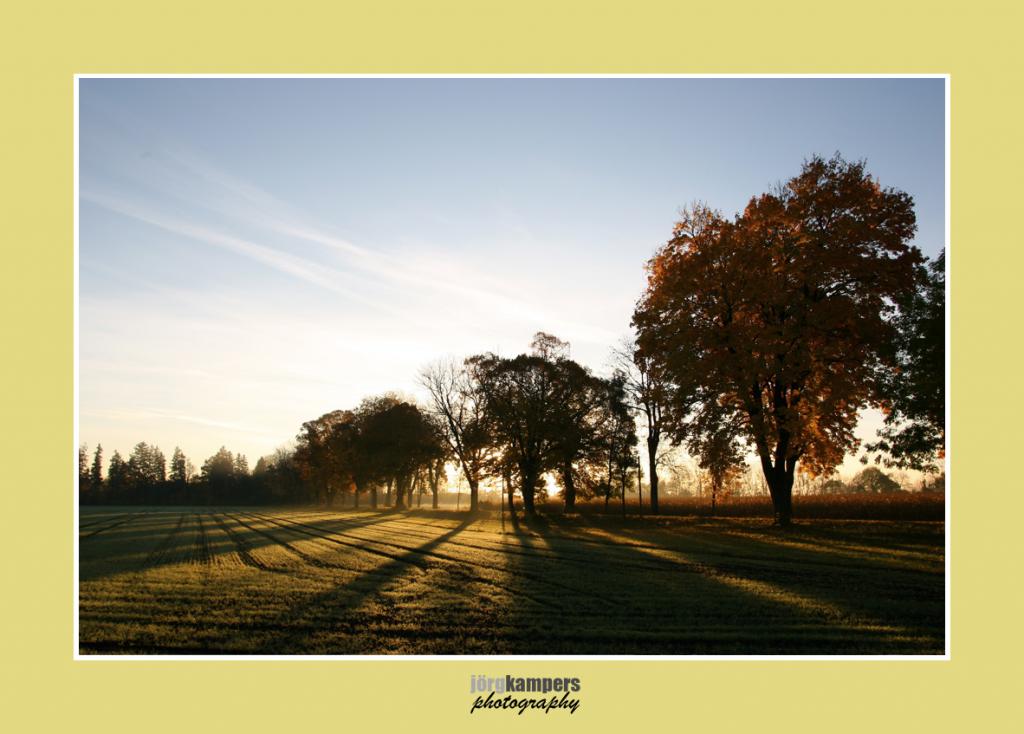 Herbst im Münchner Ries