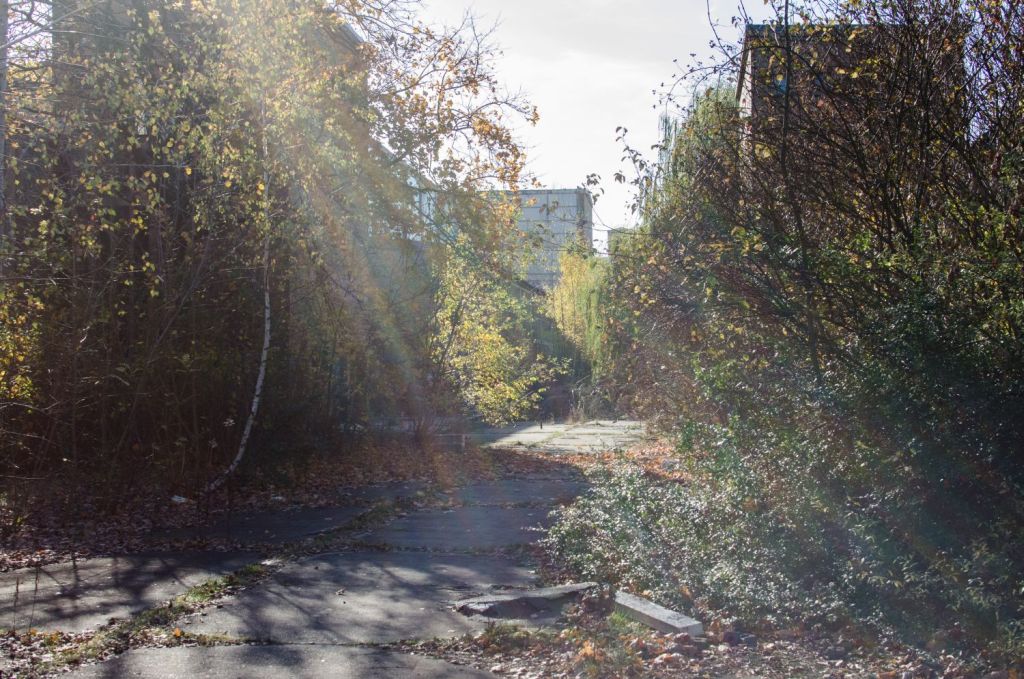 Herbst im Presswerk Ottendorf-Okrilla
