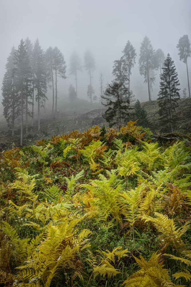 Herbst im Trentino