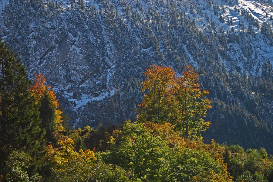 Herbst im Wägital 1