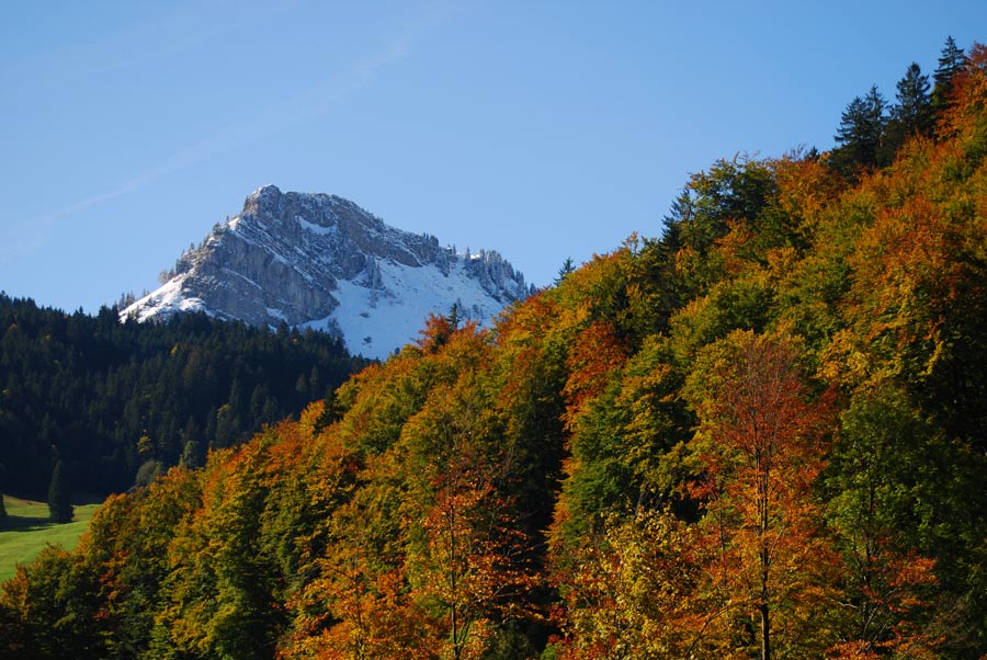 Herbst im Wägital 3