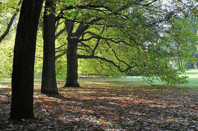 Herbst in Bochum