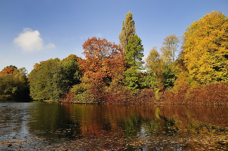 Herbst in Bochum