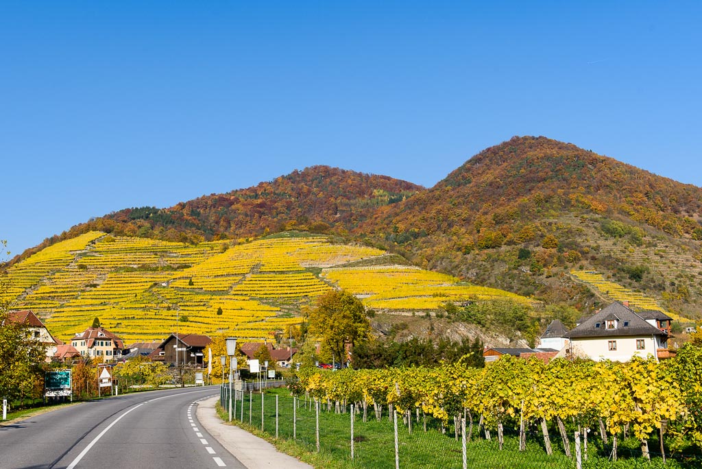 Herbst in der Wachau