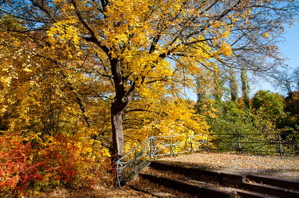 Herbst in Weimar 01