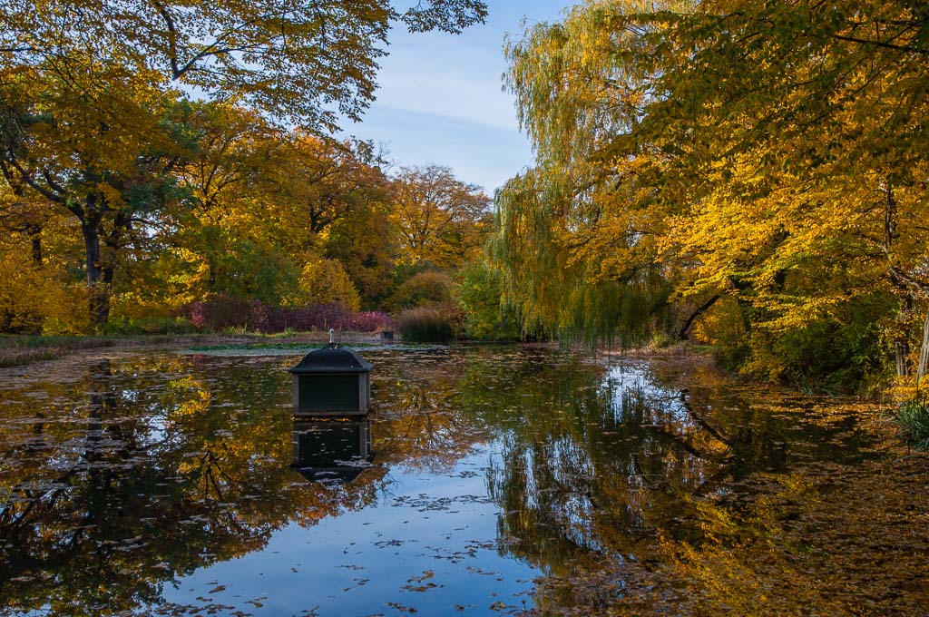 Herbst in Weimar 04