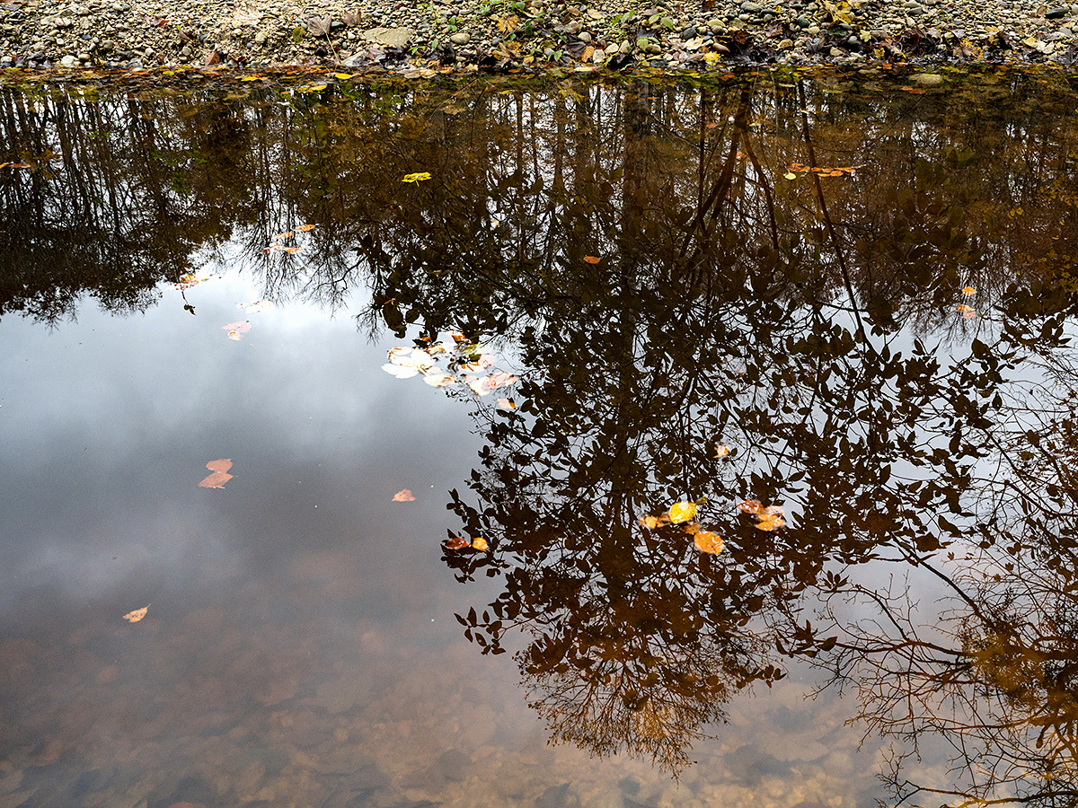 Herbst.jpg