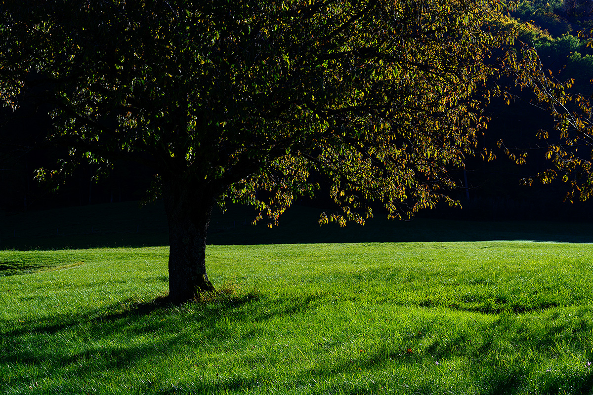Herbst.jpg