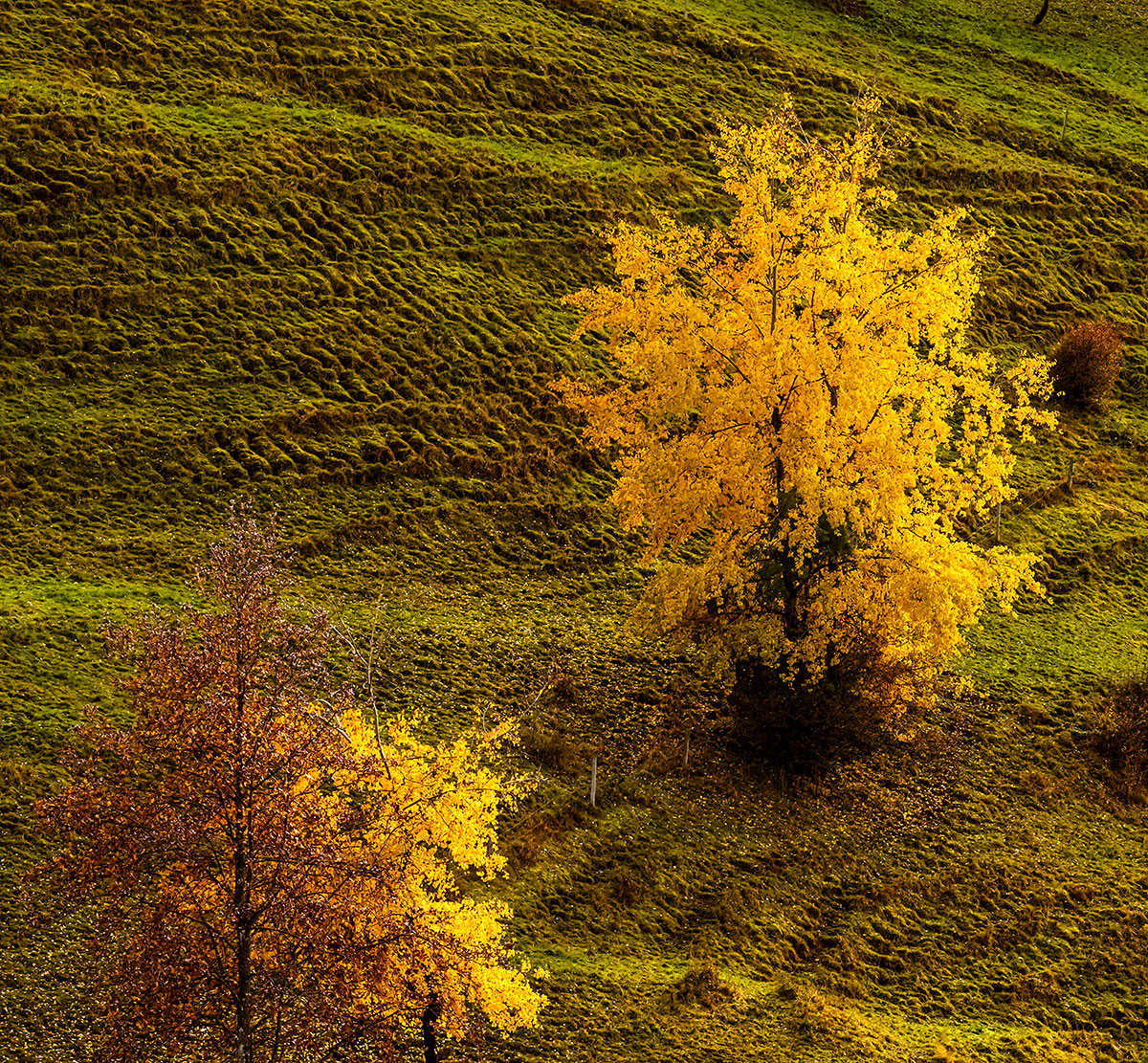 Herbst.jpg