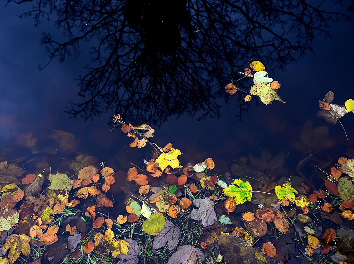 Herbst.jpg
