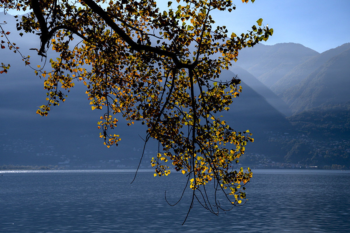 Herbst.jpg