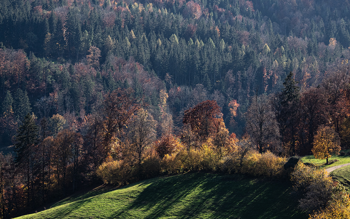 Herbst.jpg