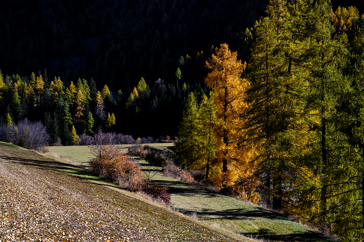 Herbst.jpg