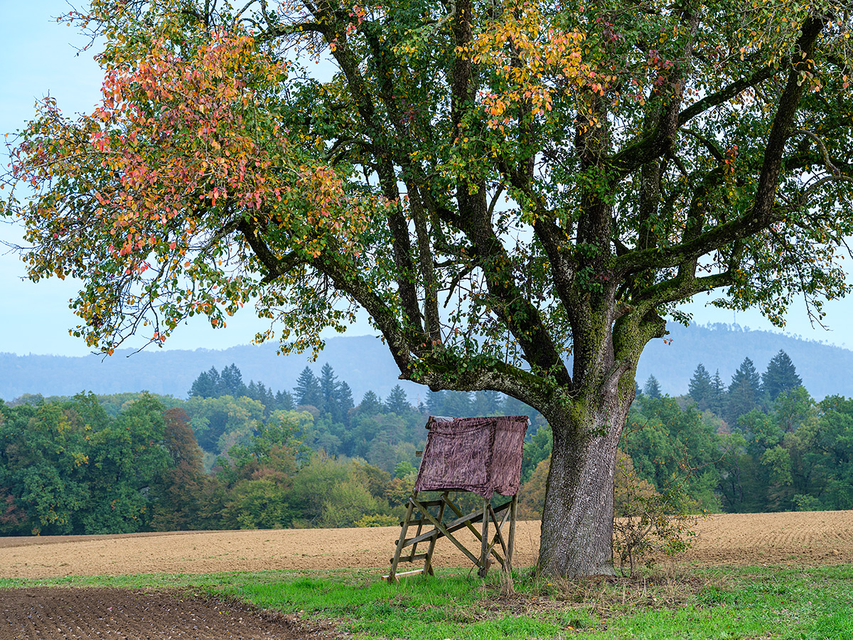 Herbst.jpg