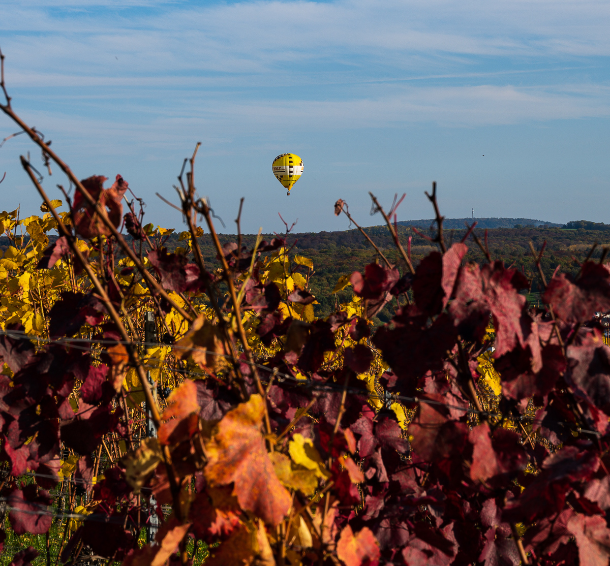 Herbst-Letzenberg-2161.jpg