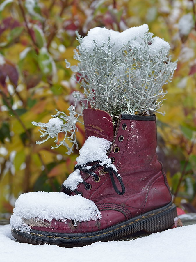 Herbst Winter Schuh