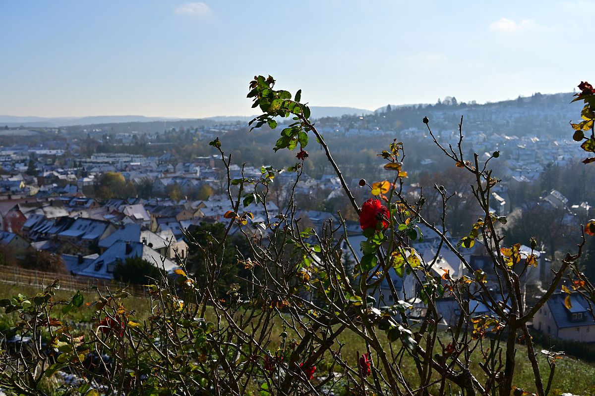 Herbst wird Winter.jpg