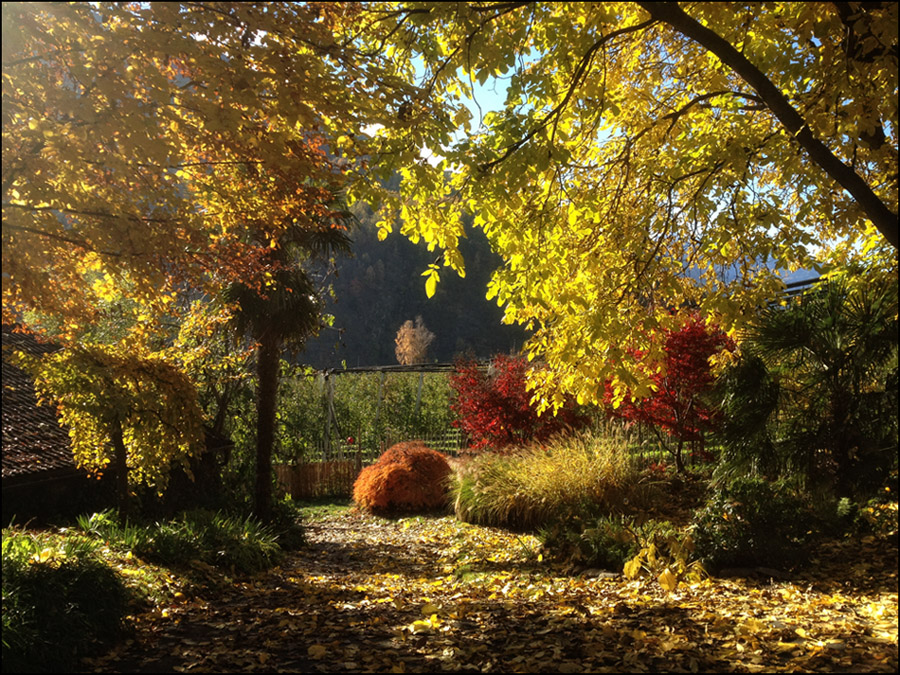 herbst