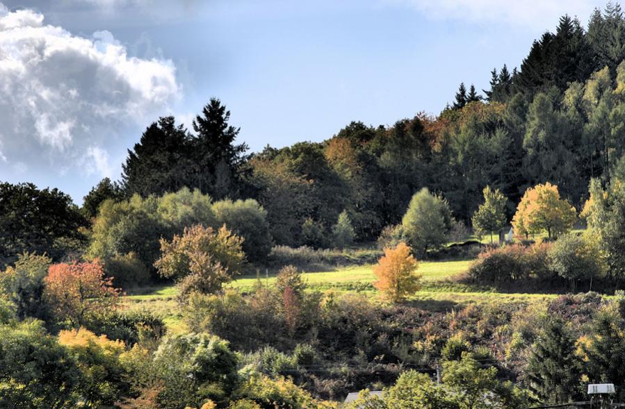 herbst