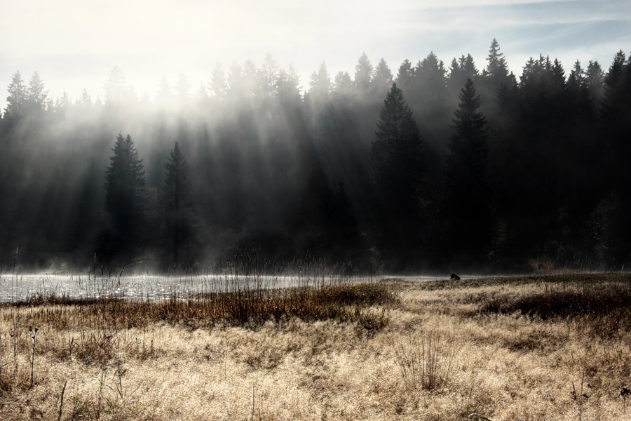 Herbst