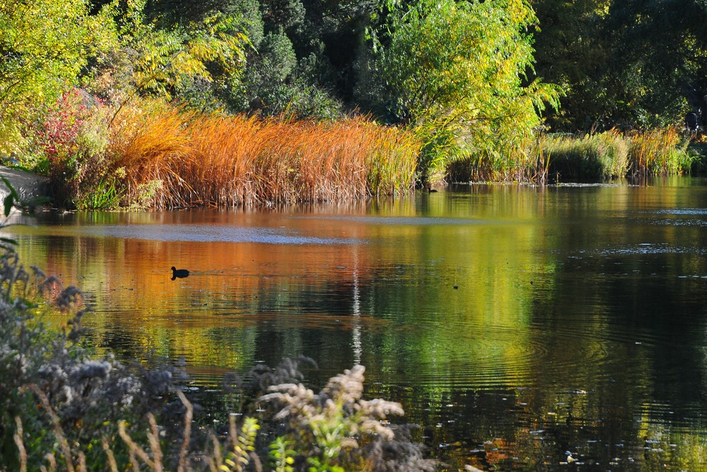Herbst