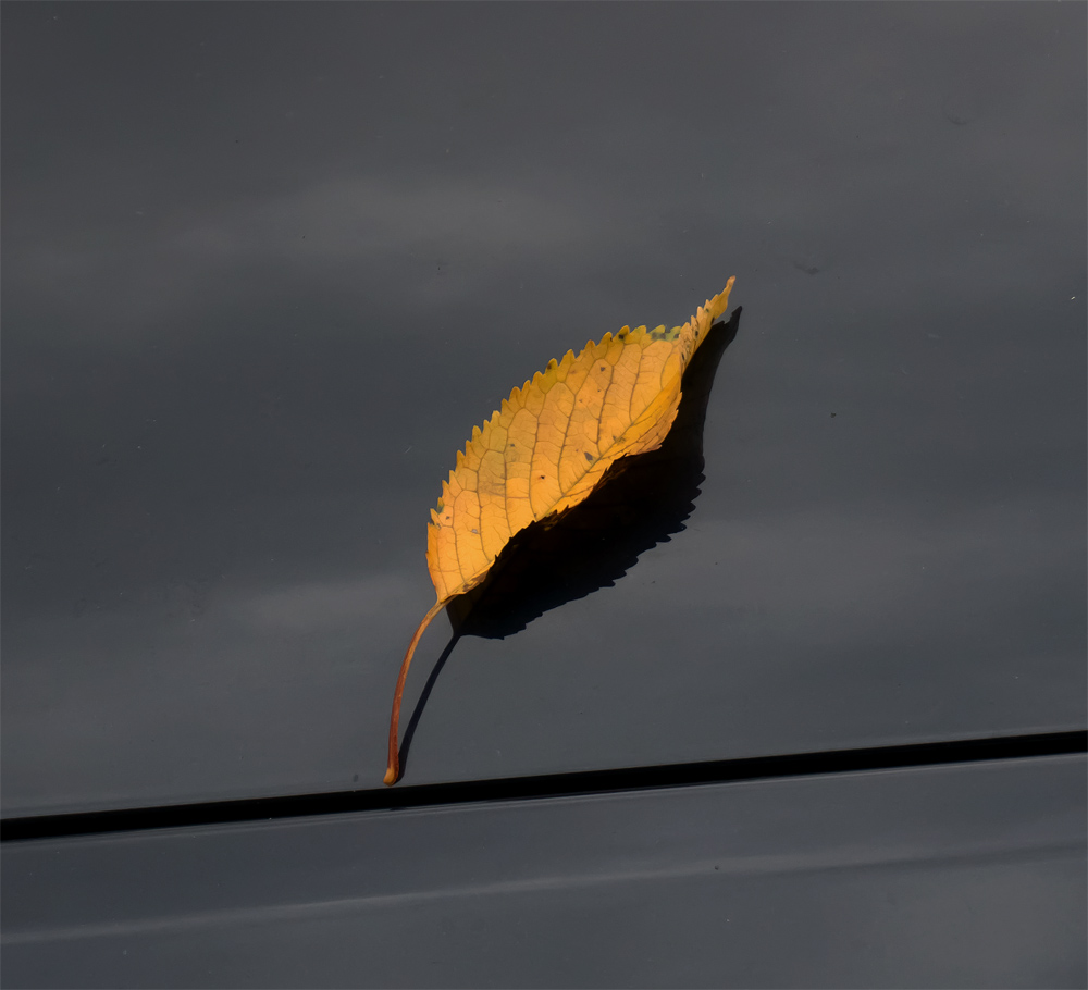 Herbst