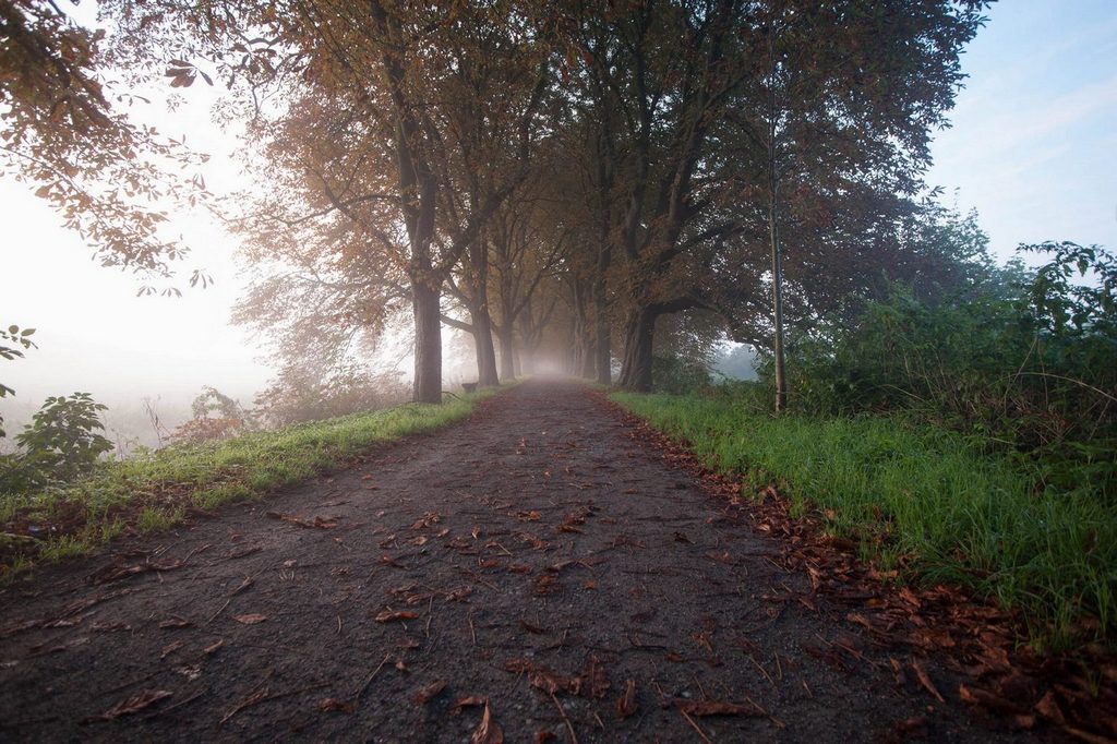 Herbst