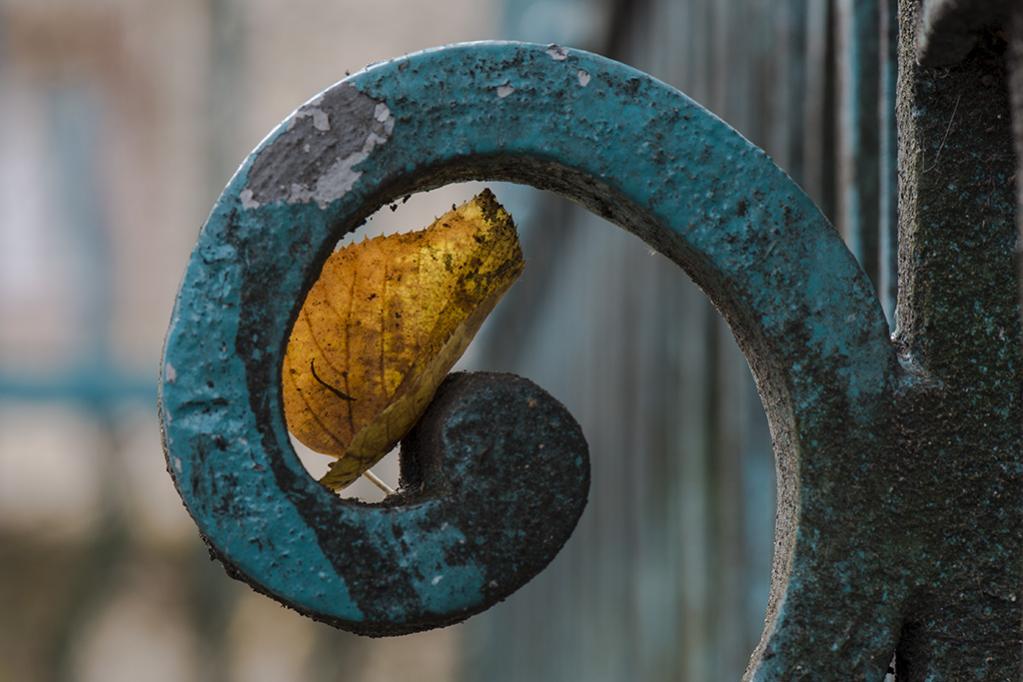 Herbst