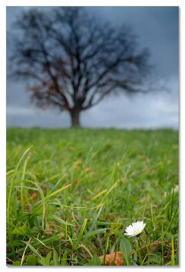 herbst