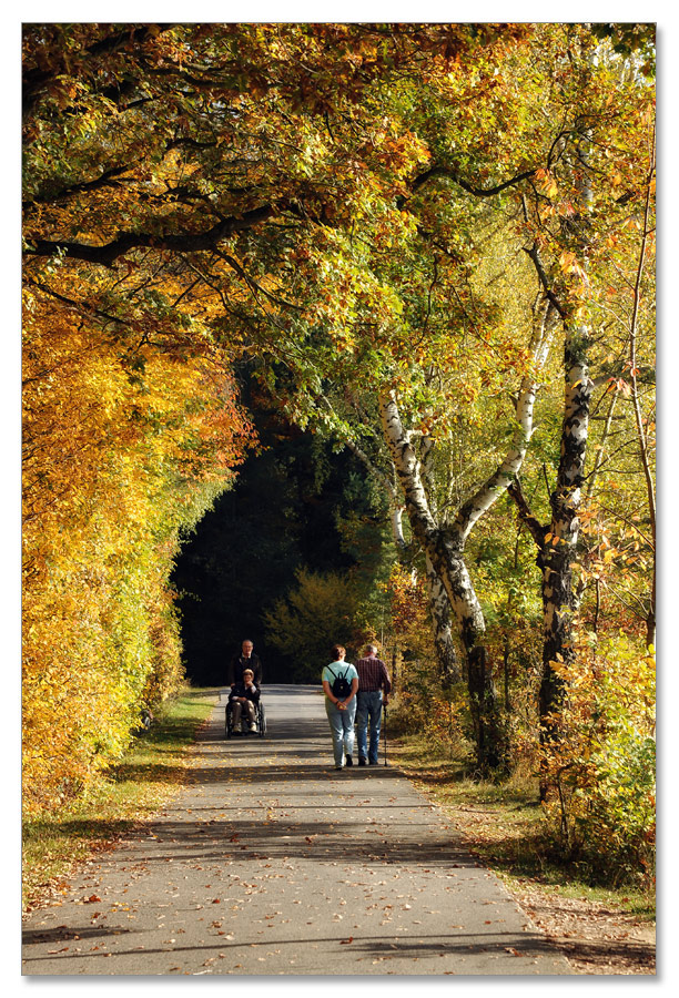 herbst