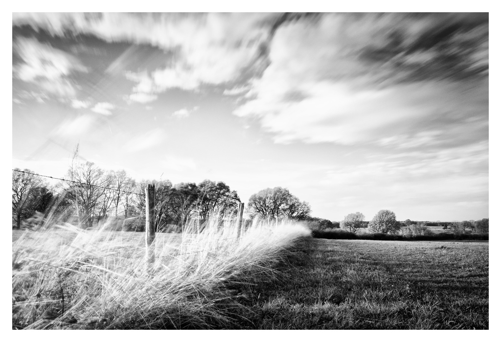 herbst
