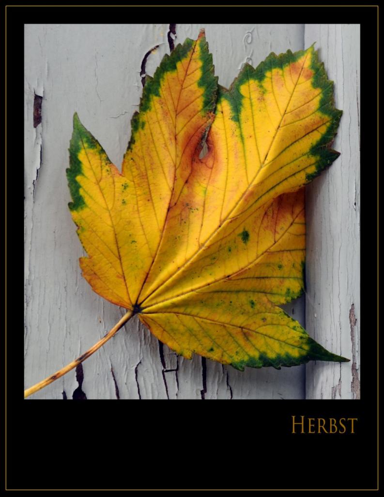 Herbst