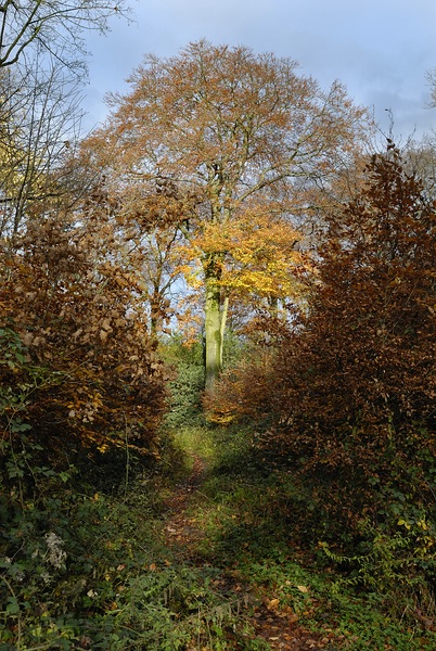 Herbst