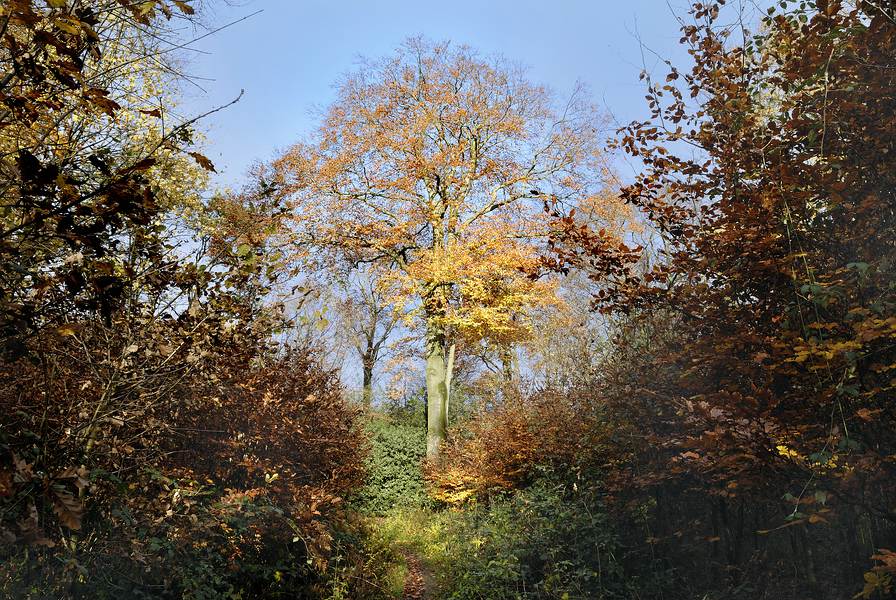 Herbst