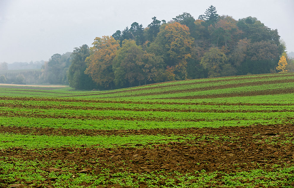 Herbst