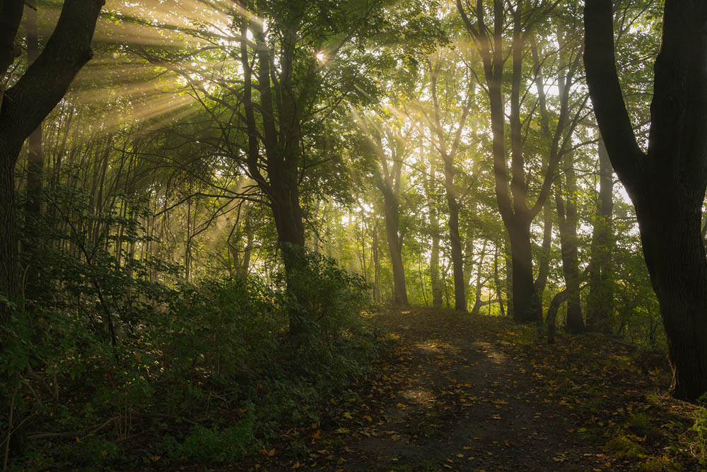 Herbst002
