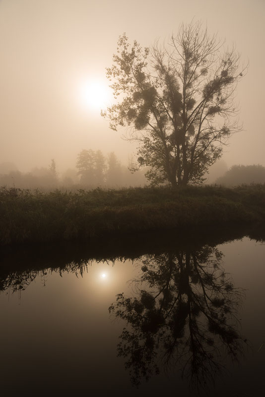 Herbst005