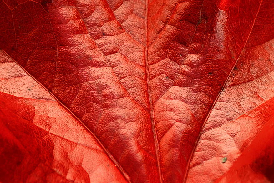 herbst01