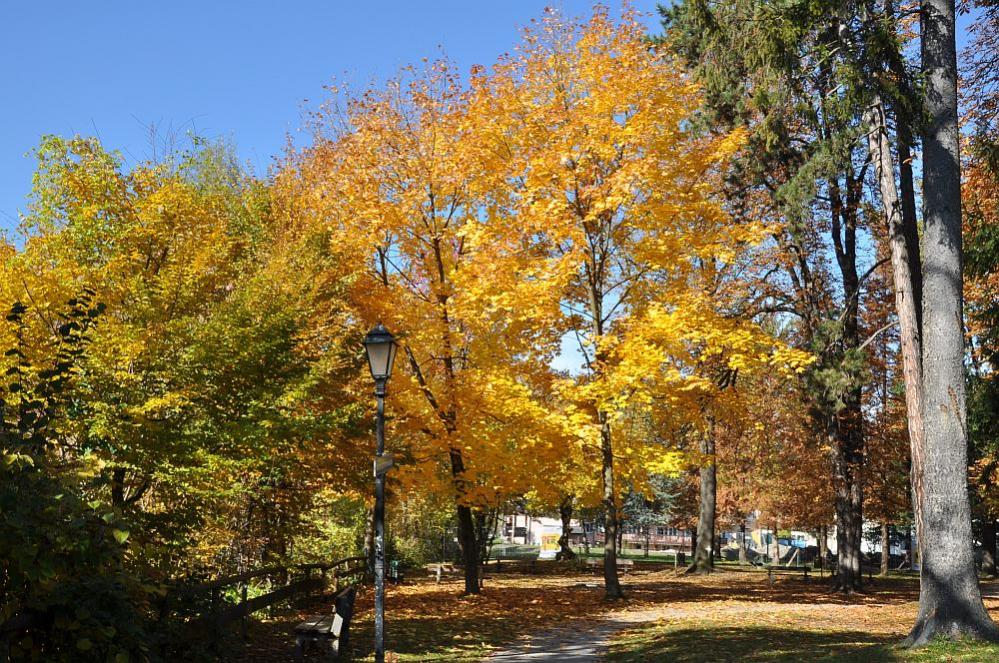 herbst05
