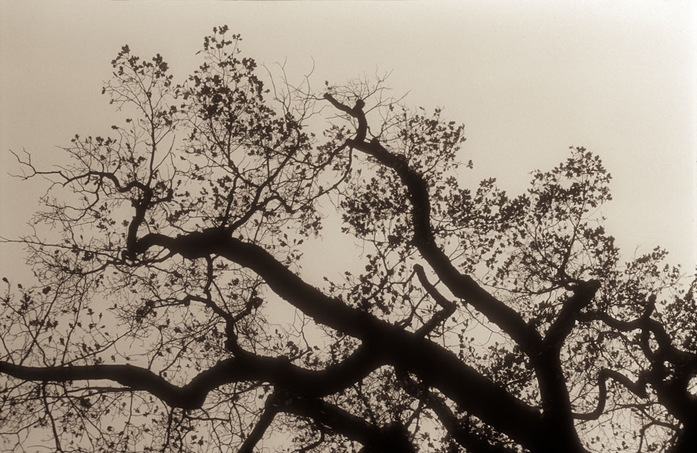 herbst05