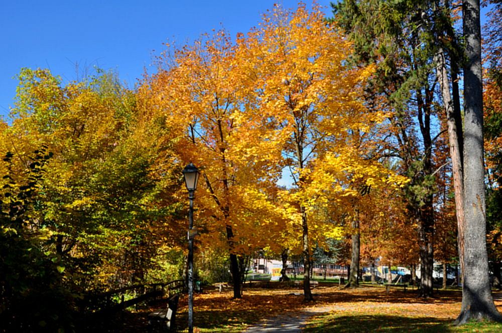 herbst06