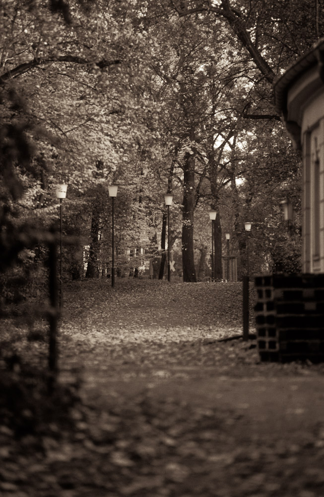 herbst08