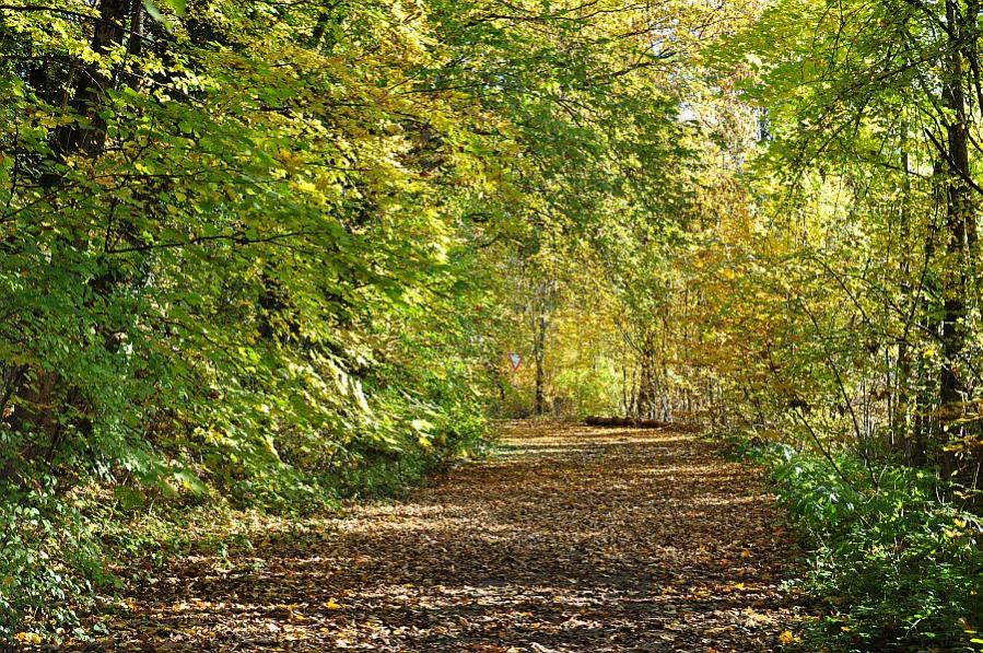 herbst1