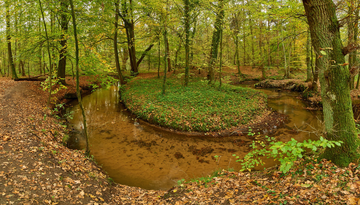 Herbst14